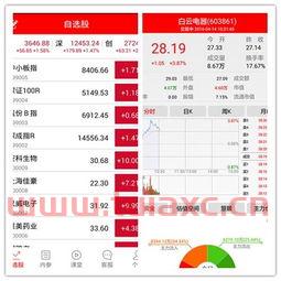 炒股软件排名前十强