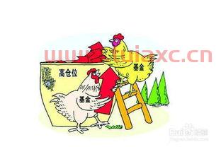 新手投资基金怎么入门知识点的