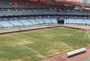 中超申花主场在哪个城市