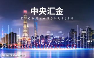 中央汇金公司怎么样