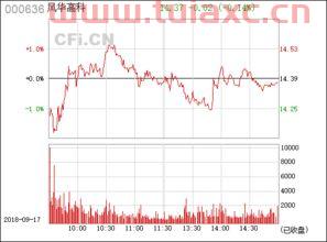 000636风华高科