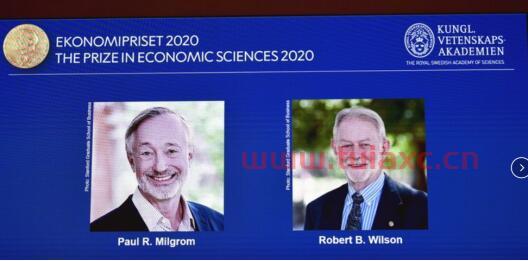 拍卖理论的经济应用