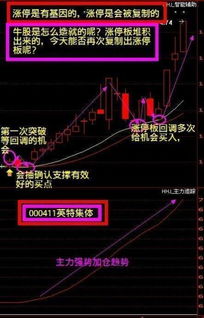 炒股的人最终都会有怎样的结果