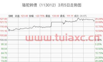 证券账户怎样打新债