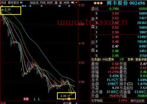 辉丰股份股票行情