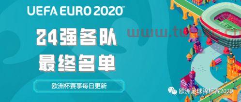 2020年欧洲杯24强