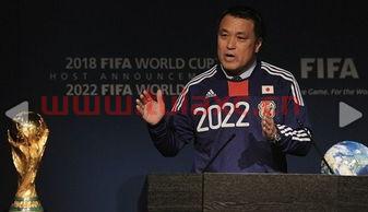 2022年在哪个国家举办世界杯赛