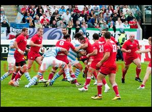 2019日本橄榄球世界杯分组