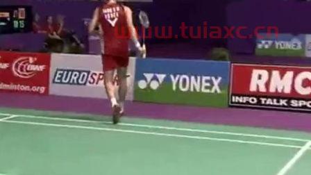 2010年羽毛球世锦赛