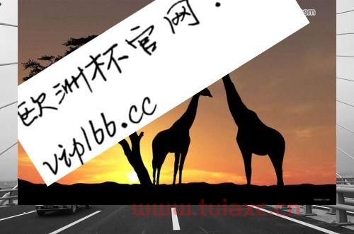 2020欧洲杯回放在哪儿看