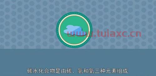 2021欧洲杯法国战绩