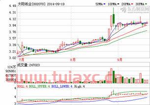 太阳纸业002078股吧