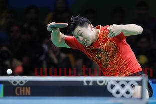 2016奥运会乒乓球男单冠军