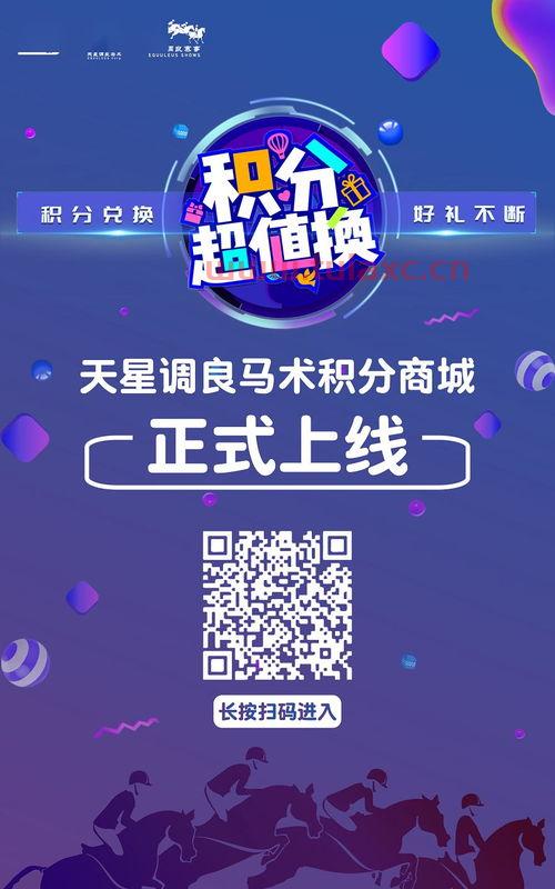 联赛积分