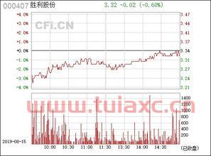 000407胜利股份股吧