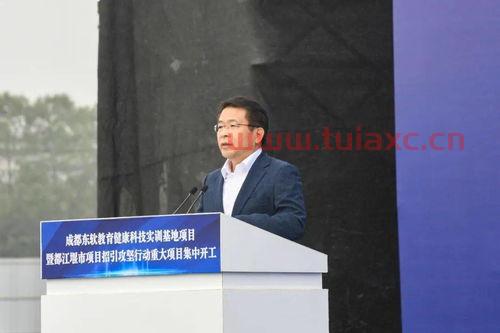 大连东软控股有限公司