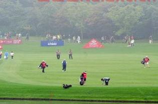 汇丰高尔夫冠军赛