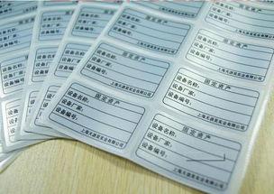 固定资产净值在财务报表哪里