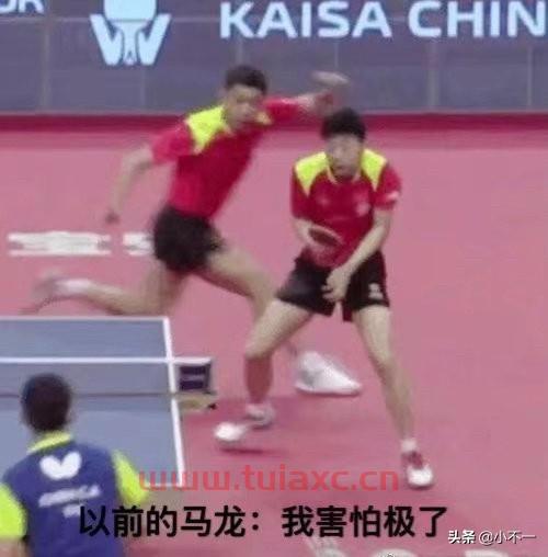 许昕把球打马龙背上