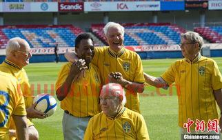 1958年世界杯决赛