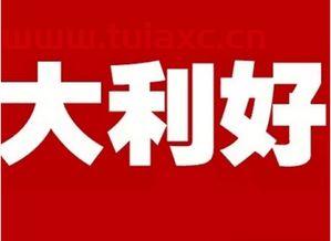 庞大集团股吧