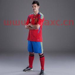 获得南非世界杯冠军