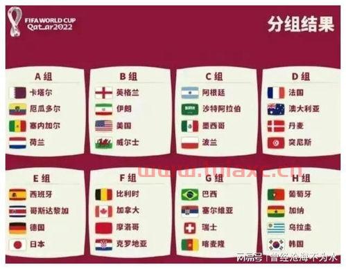 2022年世界杯抽签结果分析