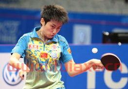 卡塔尔乒乓球世界杯赛