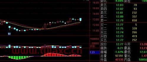 新能源龙头股票