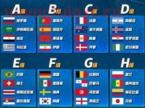 94世界杯分组表