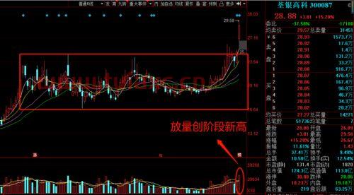 农业股*龙头