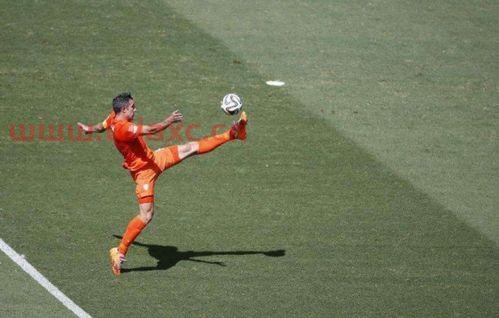 96年欧洲杯荷兰队阵容