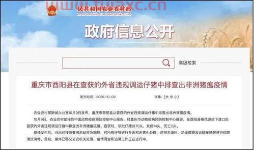 重庆酉阳排查出非洲猪瘟疫情