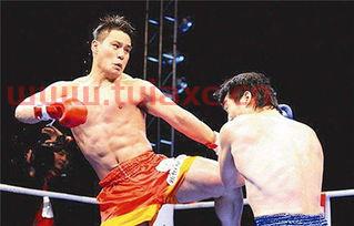 中国散打王是谁