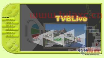 tvb网络电视直播