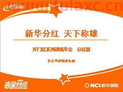 新华分红
