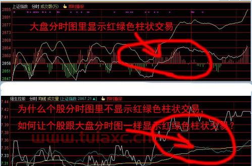 通达信如何输入个股