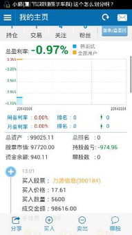 新手怎么理解股票