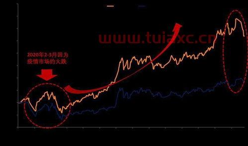 基金如何买入和卖出收益最大化