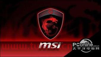 msi中国战队有哪些
