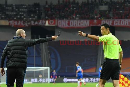 卡塔尔世界杯裁判