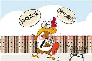 有人买基金能挣钱吗