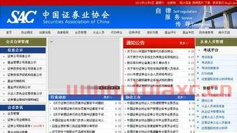 中国证券业协会邮箱登陆