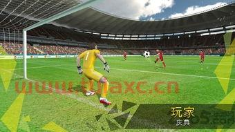世界杯2020足球什么时候开始