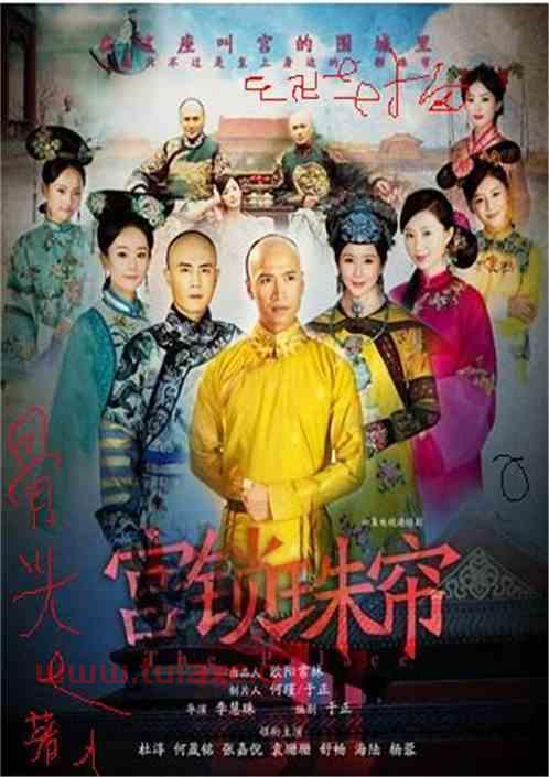 小说宫锁珠帘