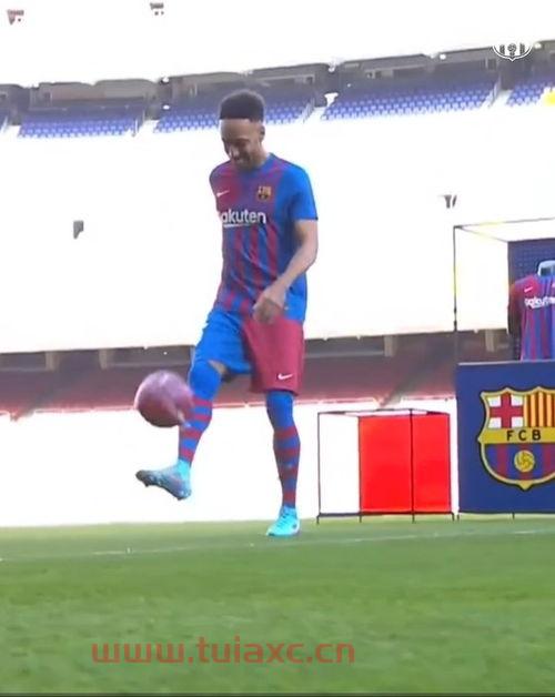 无缘卡塔尔世界杯的国家有哪些呢