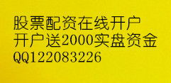 深新股额