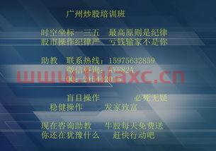 股票入门基础教程视频