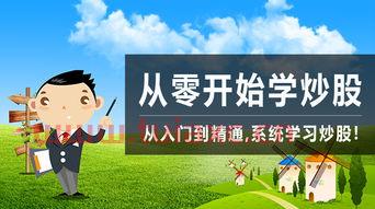 股市基本知识讲解视频下载