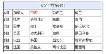 世界杯分组球队什么情况
